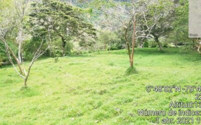 32 Acres Of Land In Jerico, Antioquia – 25 Minutes From Town and 2.5 Hours From Medellin