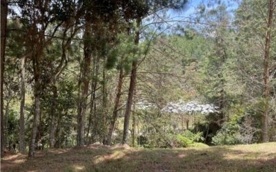 1.26 Acre Lot Located In Desirable Area of El Retiro, One Hour From Medellin