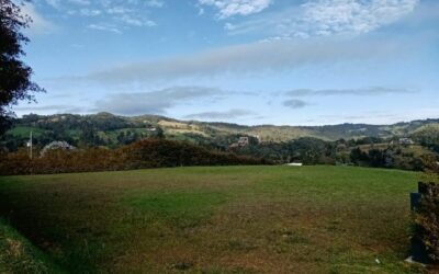 Well Located .25 Acre Lot In Exclusive 10 Property Subdivision – Easy City Access and 15 Minutes From The International Airport