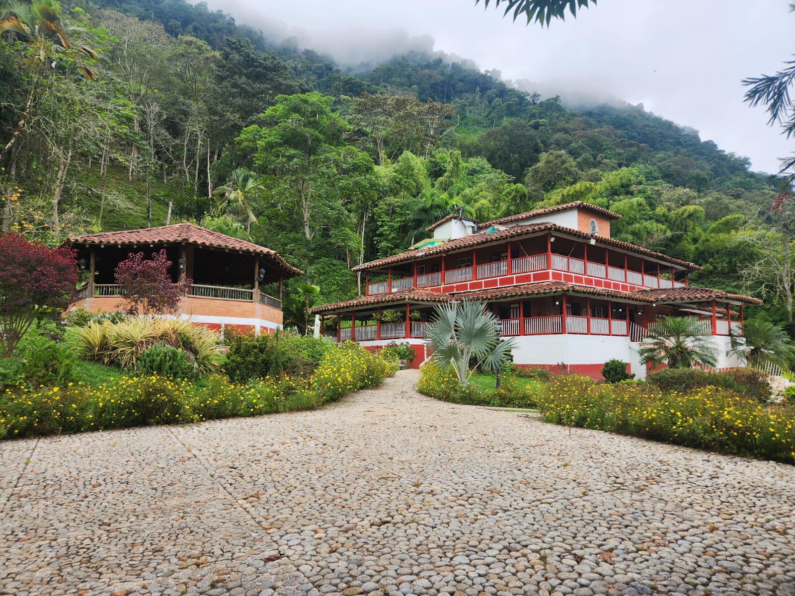 Enormous Jerico Finca Offering 900m2 Of Space Across 19 Acres | PRM